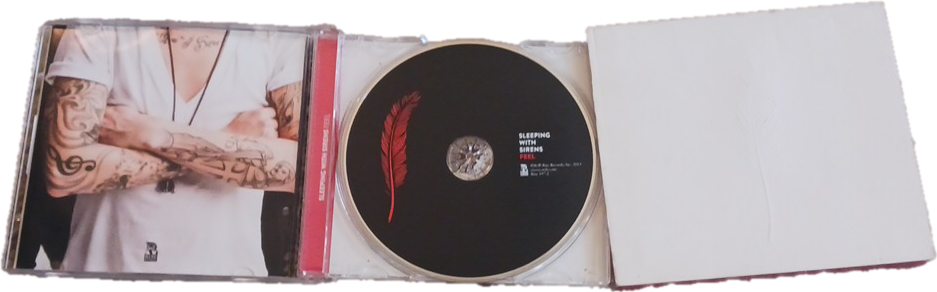 Sleeping with Sirens- Feel
